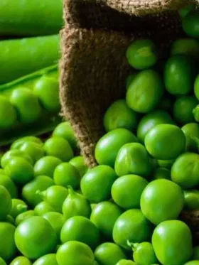 শীতকালত কেঁচা মটৰে সহায় কৰিব আপোনাক, উপকাৰ জানি হ'ব আচৰিত!