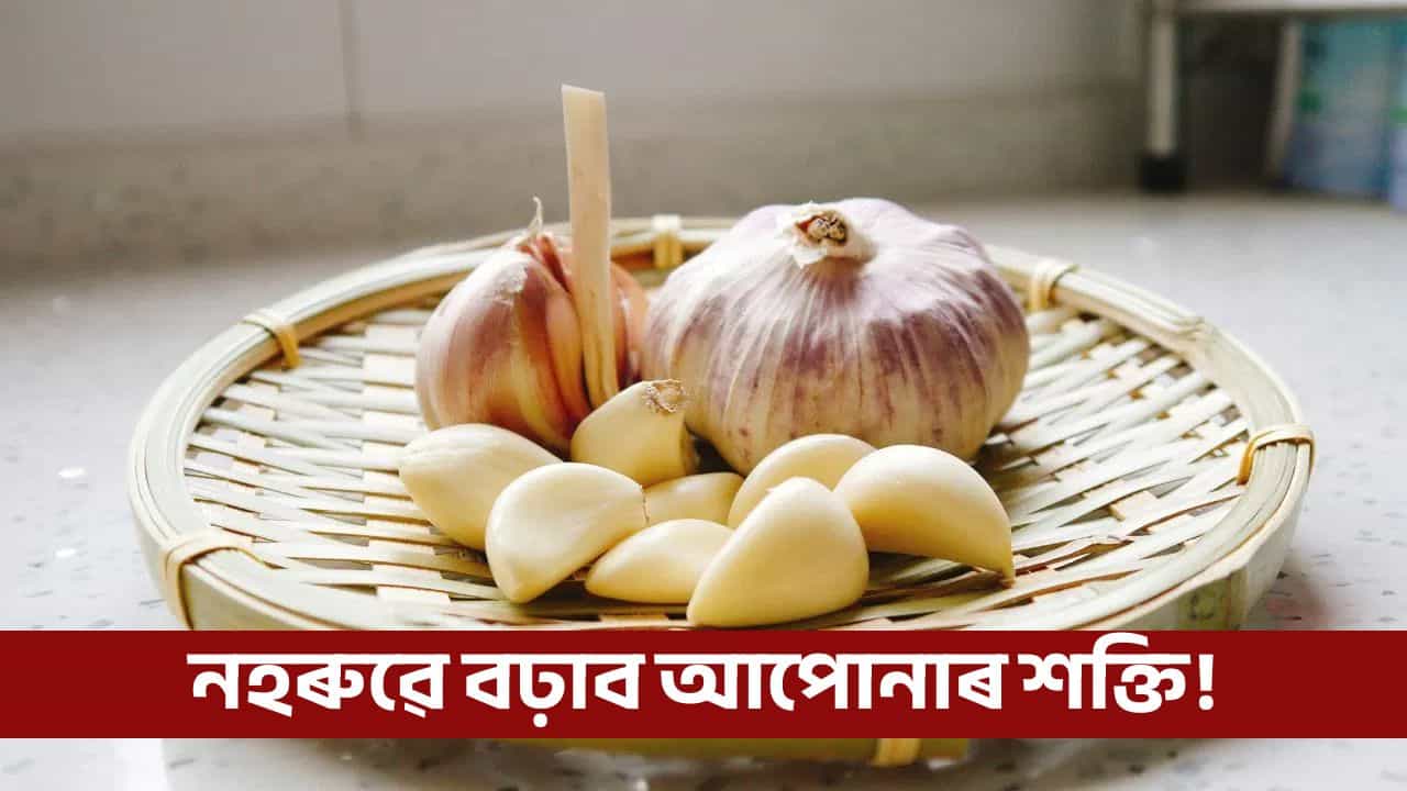 দুই ফুটা নহৰুৱে বঢ়াব আপোনাৰ শক্তি, নহৰুৰ আচৰিত গুণৰ বিষয়ে জানো আহক! দুই ফুটা নহৰুৱে বঢ়াব আপোনাৰ শক্তি, নহৰুৰ আচৰিত গুণৰ বিষয়ে জানো আহক!