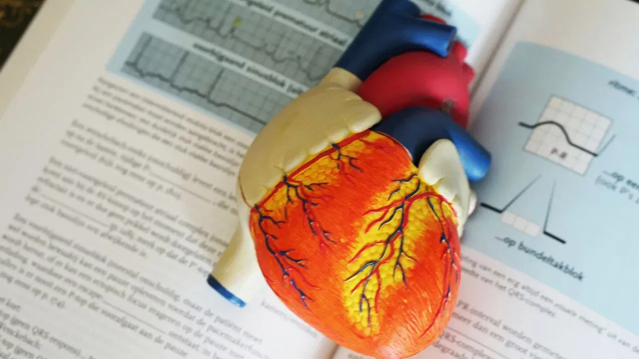 মদ কোনো স্বাস্থ্যকৰ ঔষধ নহয়! ৱাইন বিশেষজ্ঞ ছ'নাল হলণ্ডে কয়, "ৰেছভেৰাট্ৰল হৃদযন্ত্ৰৰ স্বাস্থ্যৰ বাবে ভাল, কিন্তু ৰেড ৱাইন খোৱাটো ইয়াক পোৱাৰ সৰ্বোত্তম উপায় নহয়।" খাদ্যত জামু, আঙুৰ, বাদাম আদি অন্তৰ্ভুক্ত কৰিলে ৰেচভেৰাট্ৰল লাভ কৰিব পাৰি। মদ কেতিয়াও স্বাস্থ্যকৰ পানীয় হ’ব নোৱাৰে। (ফটো: Unsplash)