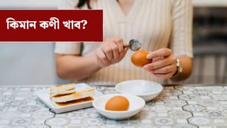 Egg: শিশুৰ পৰা ডায়েবেটিছ ৰোগীলৈ…এদিনত কোনে কিমানটা কণী খাব লাগে? জানক…