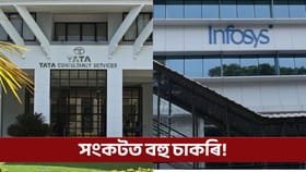 TCS, Infosys-ৰ কৰ্মীৰ বাবে বেয়া খবৰ, এটা সিদ্ধান্তৰ ফলত হাজাৰ হাজাৰ চাকৰি সংকটত...