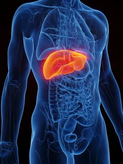 লিভাৰৰ প্ৰধান শত্ৰু এই ৫ বিধ খাদ্য, খোৱাৰ পূৰ্বে ভাবক…