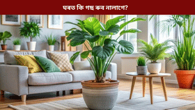 ঘৰত ভুলতো ৰোপণ নকৰিব এই ৫ বিধ উদ্ভিদ! আহিব দুৰ্দশা, হ’ব ধনৰ সমস্যা, জানক সকলো…...
