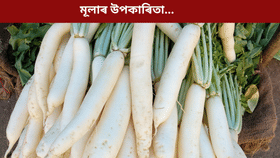 শীতকালত মূলা খালে কি কি ৰোগৰ আশংকা কম হয়? জানক...