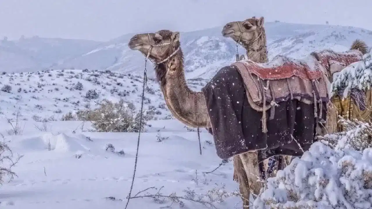 প্ৰকৃতিৰ আচৰিত লীলা! শুভ্ৰ বৰফে আৱৰিলে বালিৰ মৰুভূমি...