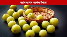 এইসকল লোকে ভুলতো নাখাব আমলখি, হ'ব পাৰে ডাঙৰ বিপদ