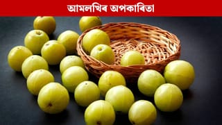 এইসকল লোকে ভুলতো নাখাব আমলখি, হ’ব পাৰে ডাঙৰ বিপদ