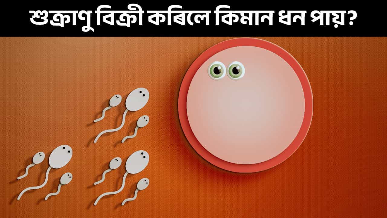 শুক্ৰাণু কোনে আৰু কেনেকৈ দান কৰিব? ইয়াৰ বাবদ কিমান টকা পায় জানো আহক