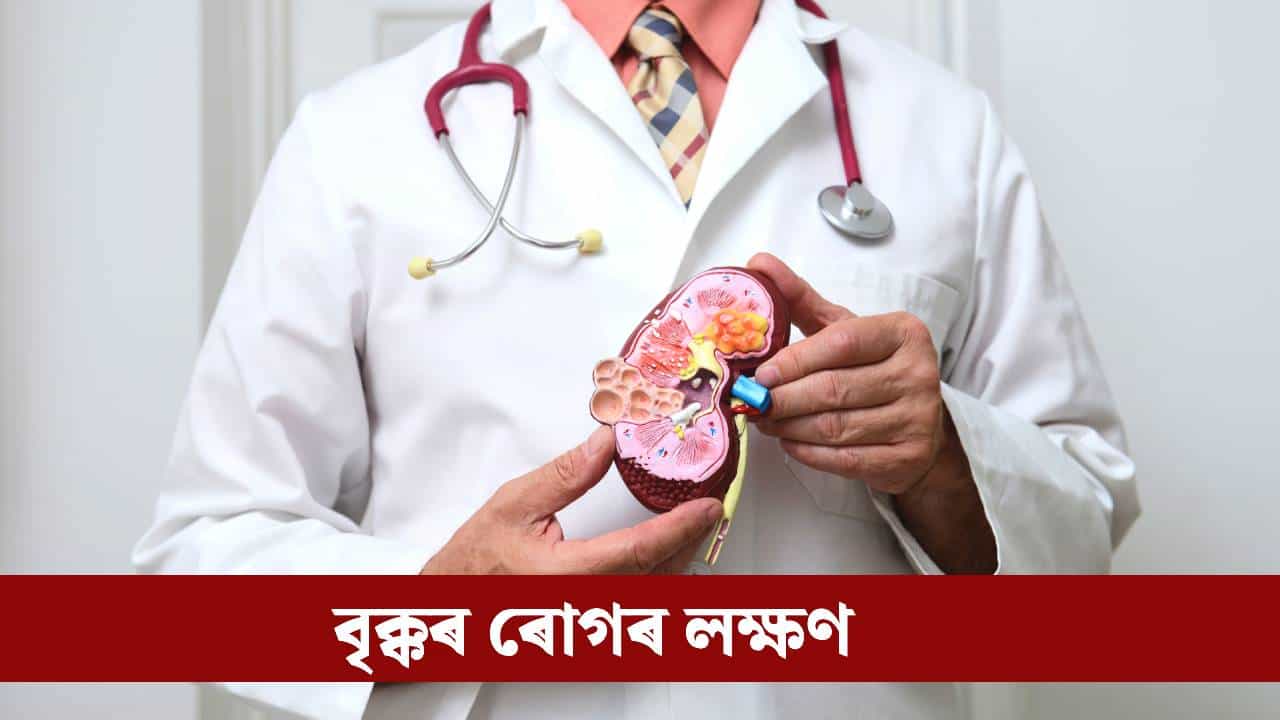 Kidney: শৰীৰত দেখা এই চাৰিটা পৰিৱৰ্তনে দিয়ে বৃক্ক বিকল হোৱাৰ ইংগিত, আওকান নকৰিব
