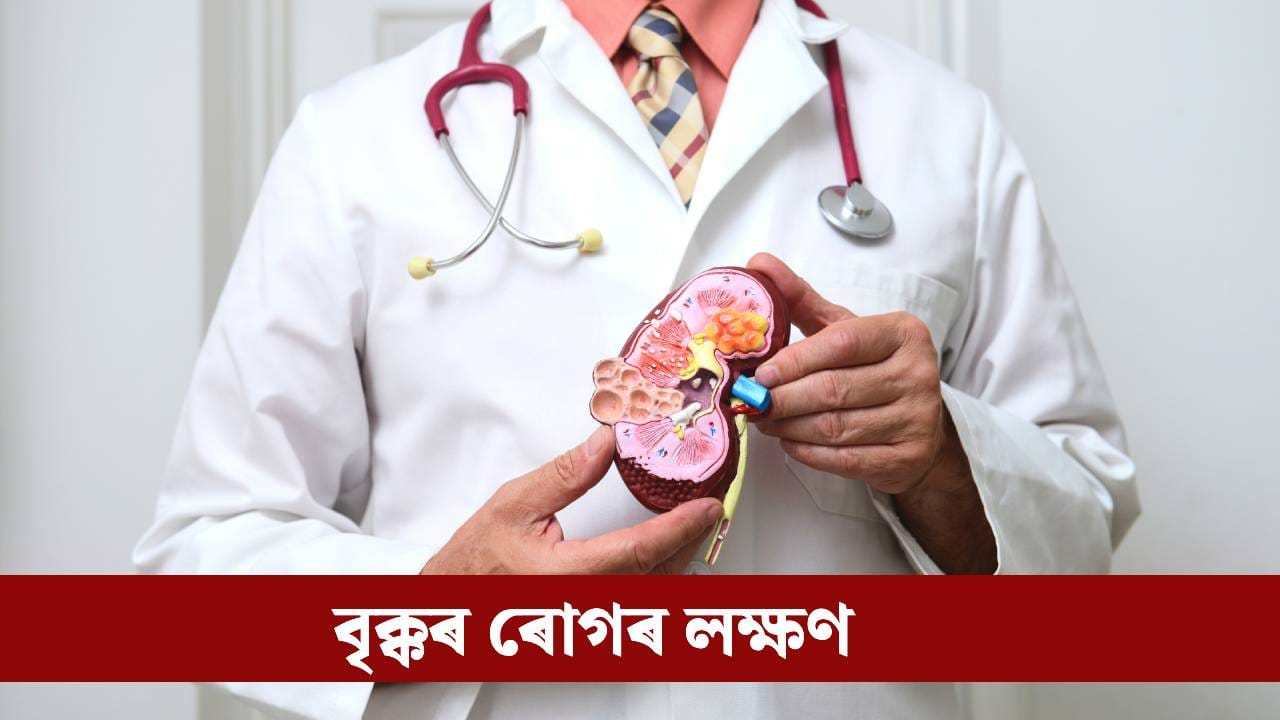 Kidney: শৰীৰত দেখা এই চাৰিটা পৰিৱৰ্তনে দিয়ে বৃক্ক বিকল হোৱাৰ ইংগিত, আওকান নকৰিব
