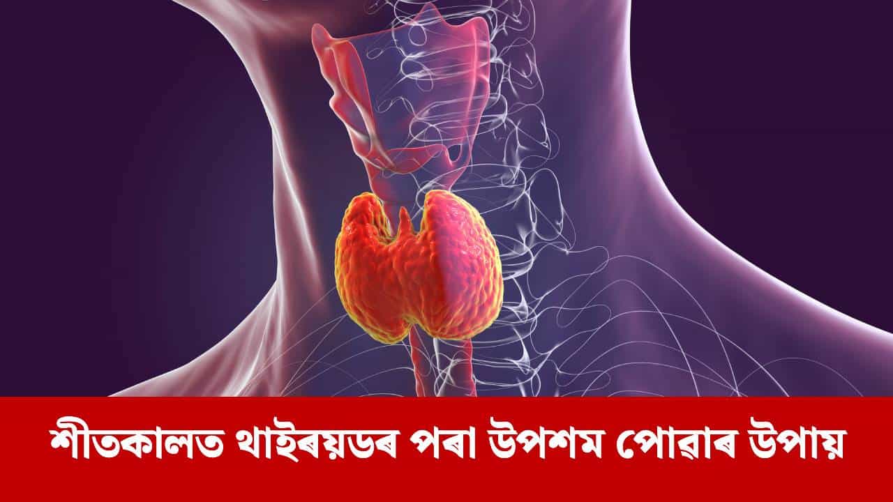 Winter Diet for Thyroid Patients: থাইৰয়ড ৰোগীয়ে শীতকালত কি খাব লাগে আৰু কি খাব নালাগে ?