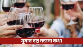 Red Wine শৰীৰৰ বাবে ভাল নে বেয়া?