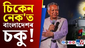 চিকেন নেক সুৰক্ষিত কৰিবলৈ ভাৰতে কি কি পদক্ষেপ লৈছে?