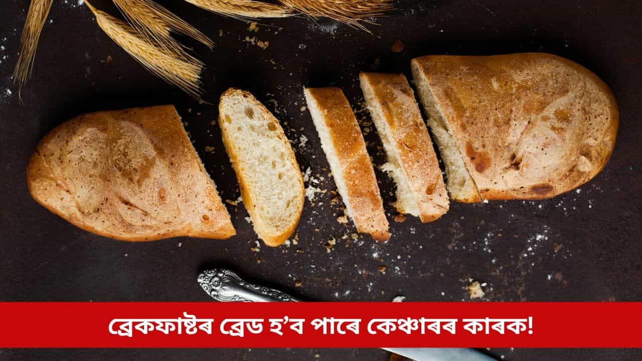 ব্ৰেকফাষ্টৰ ব্ৰেড হ’ব পাৰে কেঞ্চাৰৰ কাৰক! গৱেষণাত পোহৰলৈ চাঞ্চল্যকৰ তথ্য ব্ৰেকফাষ্টৰ ব্ৰেড হ’ব পাৰে কেঞ্চাৰৰ কাৰক! গৱেষণাত পোহৰলৈ চাঞ্চল্যকৰ তথ্য