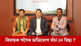 অখিল গগৈৰ তথ্যৰ ৫ পইচাৰো দম নাই,  ভোটাৰৰ নাম কৰ্তনৰ অভিযোগক লৈ প্ৰতিক্ৰিয়া দিলীপ শইকীয়াৰ...