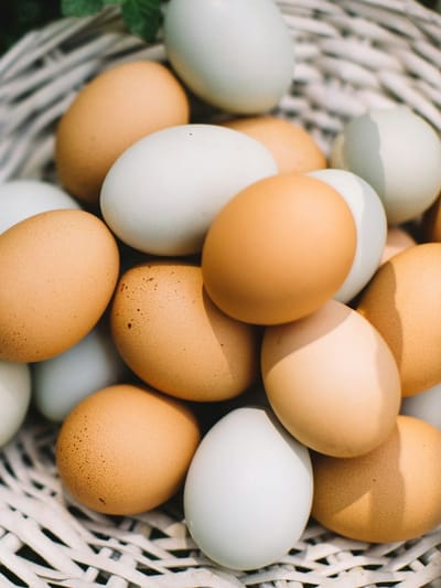 অধিক কণীয়েও কৰে ক্ষতি, কণী বেছিকৈ খালে হ’ব পাৰে এনে চিন্তনীয় সমস্যা