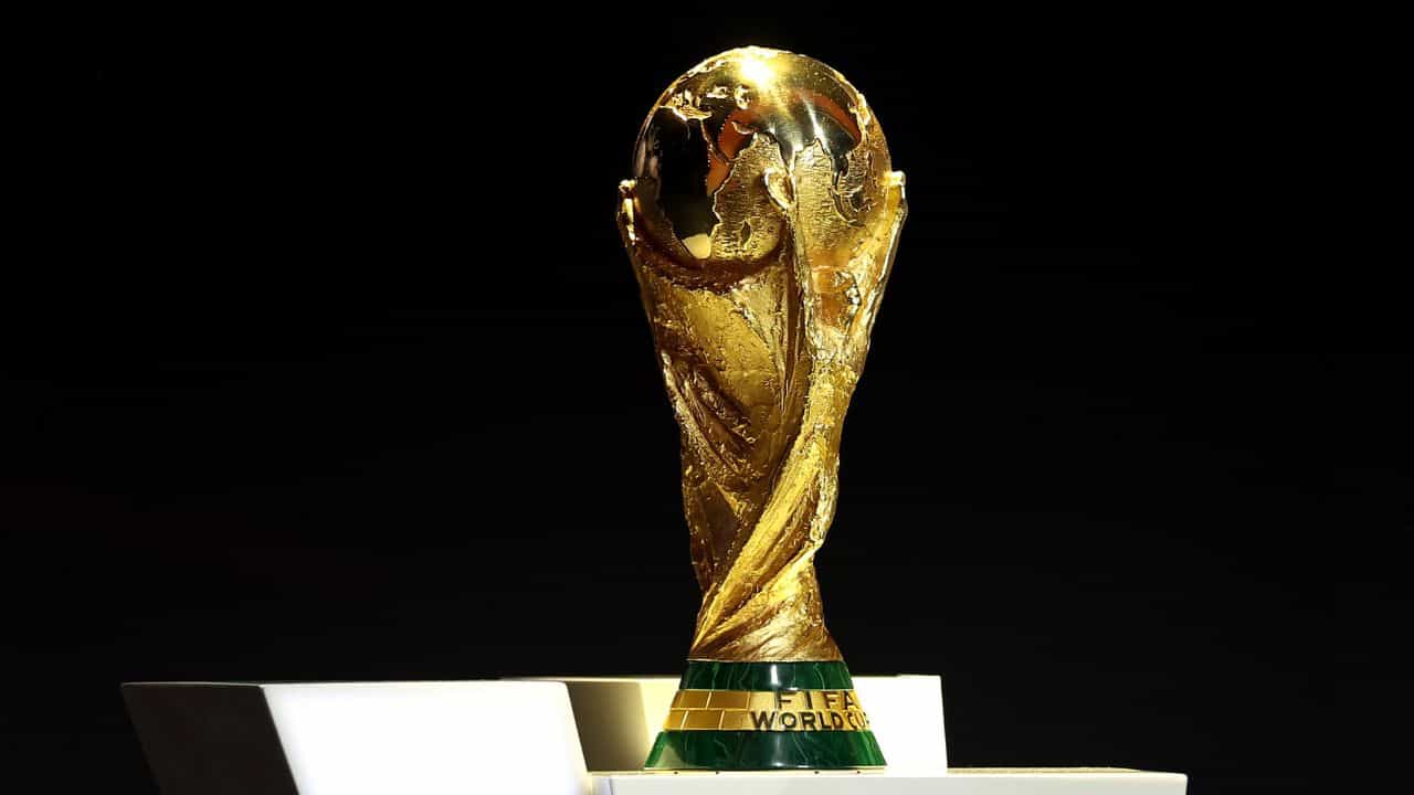 একেবাৰে ওচৰৰ পৰা বিনামূলীয়াকৈ চাব পাৰিব ফিফা বিশ্বকাপৰ ট্ৰফী, কত কেতিয়া প্ৰদৰ্শন কৰা হব জানি লওক একেবাৰে ওচৰৰ পৰা বিনামূলীয়াকৈ চাব পাৰিব ফিফা বিশ্বকাপৰ ট্ৰফী, কত কেতিয়া প্ৰদৰ্শন কৰা হব জানি লওক