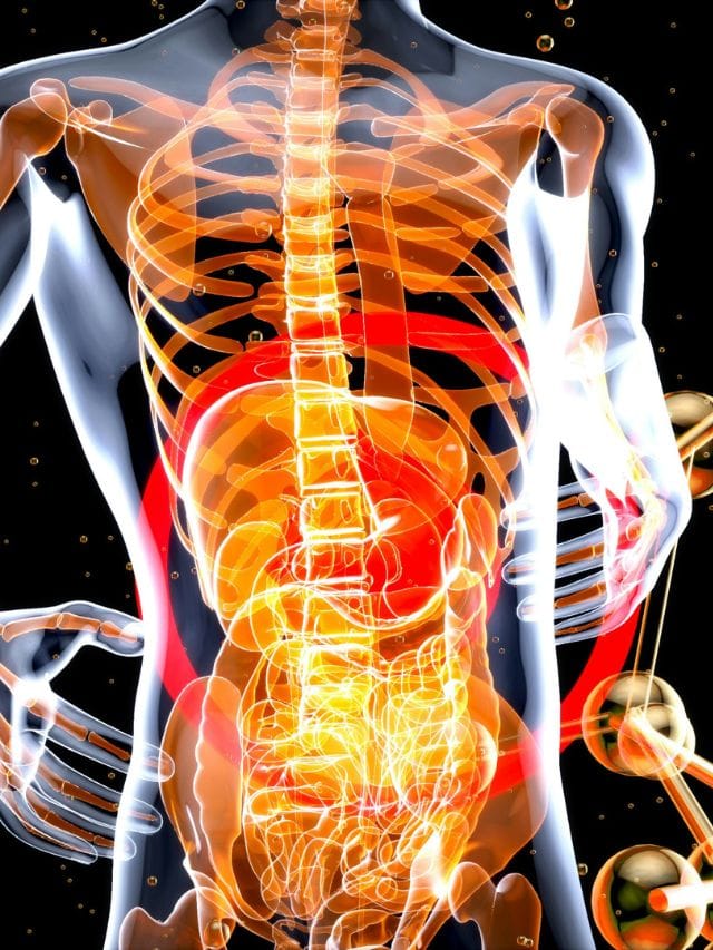 বয়স ৩০ৰ আশে-পাশে বাঢ়ে ফেটি লিভাৰৰ শংকা! এইদৰে পাব চিন্তাৰ পৰা পৰিত্ৰাণ