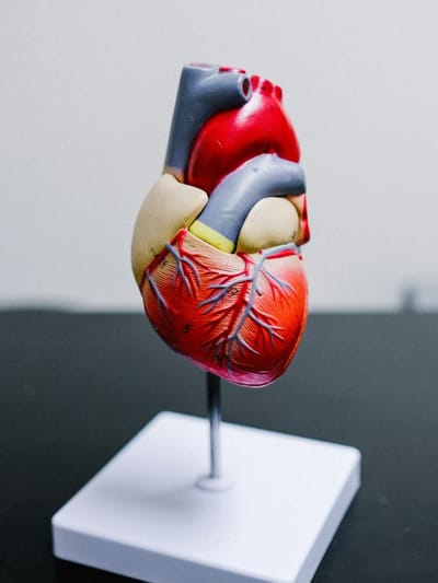 এনে লক্ষণ আওকাণ কৰা মানেই জীৱনৰ শংকা! হ’ব পাৰে নীৰৱে থিতাপি লোৱা হৃদৰোগৰ সংকেত