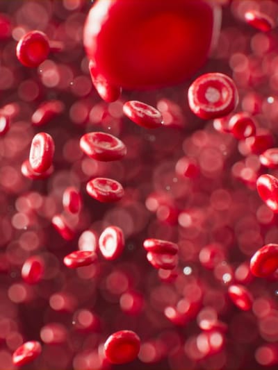 তেজত হ্ৰাস পাইছে নেকি হিম’গ্লবিনৰ মাত্ৰা? এইসমূহ খাদ্যই দূৰ কৰিব চিন্তা