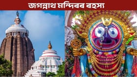 কিয় জগন্নাথ মন্দিৰৰ ছাঁ গঠন নহয়?