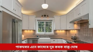 পাকঘৰত লগাওক এইসমূহ সামগ্ৰী, দূৰ হ’ব বাস্তু দোষ; মাত্ৰ মনত ৰাখক এইকেইটা বিশেষ দিশ