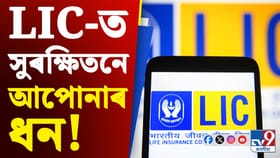 আপোনাৰ সঞ্চয়ৰ ধন LIC- এ ক’ত বিনিয়োগ কৰে জানেনে?