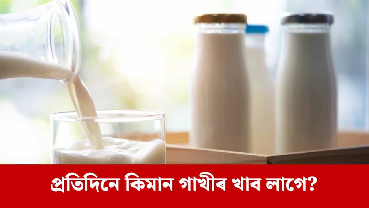 গাখীৰে সঁচাকৈয়ে কেলচিয়ামৰ অভাৱ পূৰণ কৰেনে? বিশেষজ্ঞৰ পৰা জানক গাখীৰে সঁচাকৈয়ে কেলচিয়ামৰ অভাৱ পূৰণ কৰেনে? বিশেষজ্ঞৰ পৰা জানক