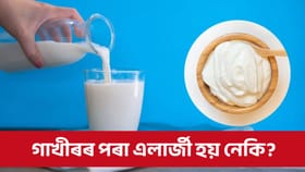 গাখীৰৰ পৰা এলাৰ্জী হোৱা লোকে দৈ খাব পাৰে নে নোৱাৰে?...