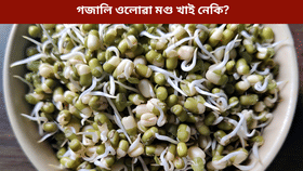 প্ৰতিদিনে গজালি ওলোৱা মগু খোৱা ভাল নে বেয়া? জানক বিশেষজ্ঞৰ পৰা...