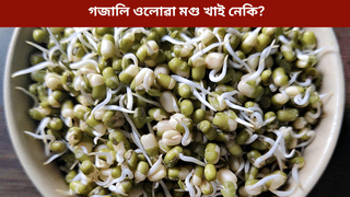 প্ৰতিদিনে গজালি ওলোৱা মগু খোৱা ভাল নে বেয়া? জানক বিশেষজ্ঞৰ পৰা…