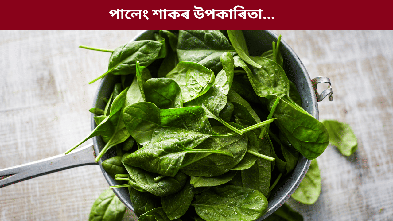 শীতকালত প্ৰতিদিনে পালেং শাক খালে কি কি ৰোগ ভাল হয়? জানক...