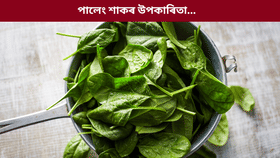 শীতকালত প্ৰতিদিনে পালেং শাক খালে কি কি ৰোগ ভাল হয়? জানক…...