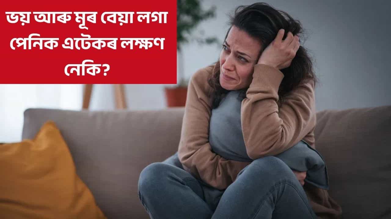 Panic attack causes: পেনিক এটেক কি, ইয়াক কেনেকৈ চিকাক্ত কৰিব?