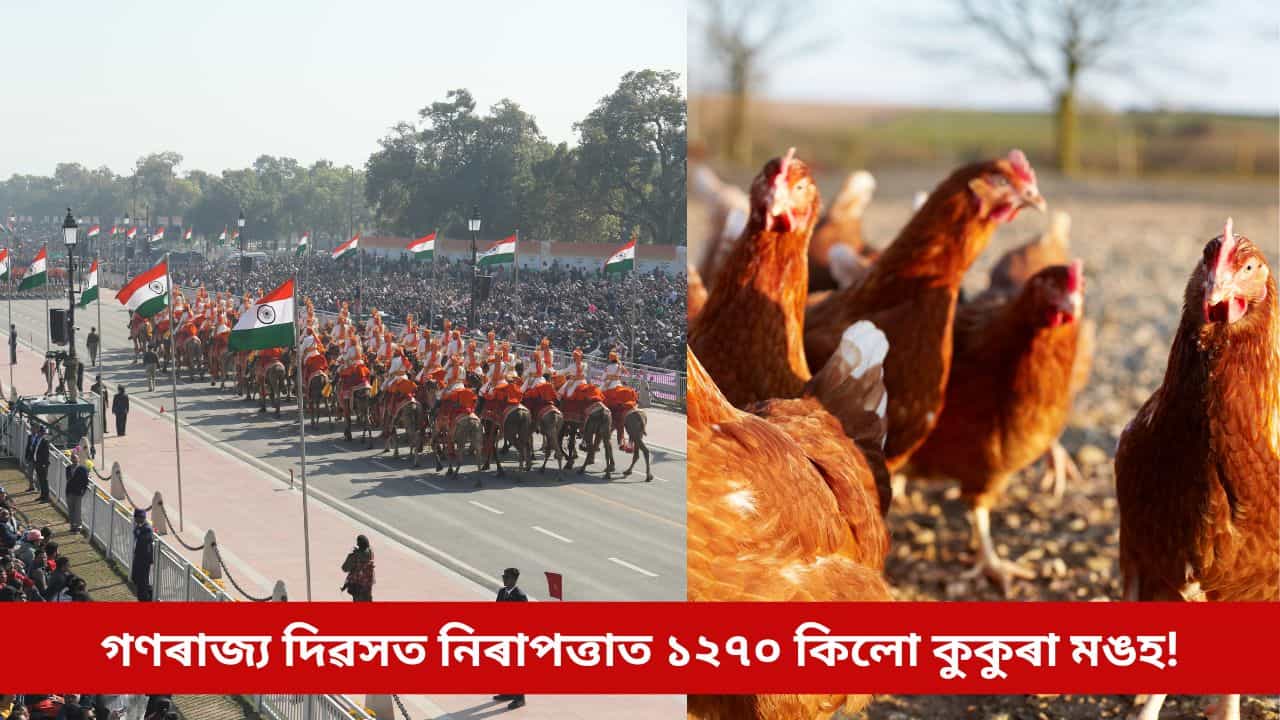 গণৰাজ্য দিৱসত দিল্লীৰ নিৰাপত্তাৰ দায়িত্বত ১২৭০ কিলো কুকুৰা মঙহ! পিছে কিদৰে সম্ভৱ এয়া?