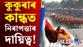 দিল্লীত গণৰাজ্য দিৱসত নিৰাপত্তা দিব ১২৭০ কিলো কুকুৰা মঙহে!