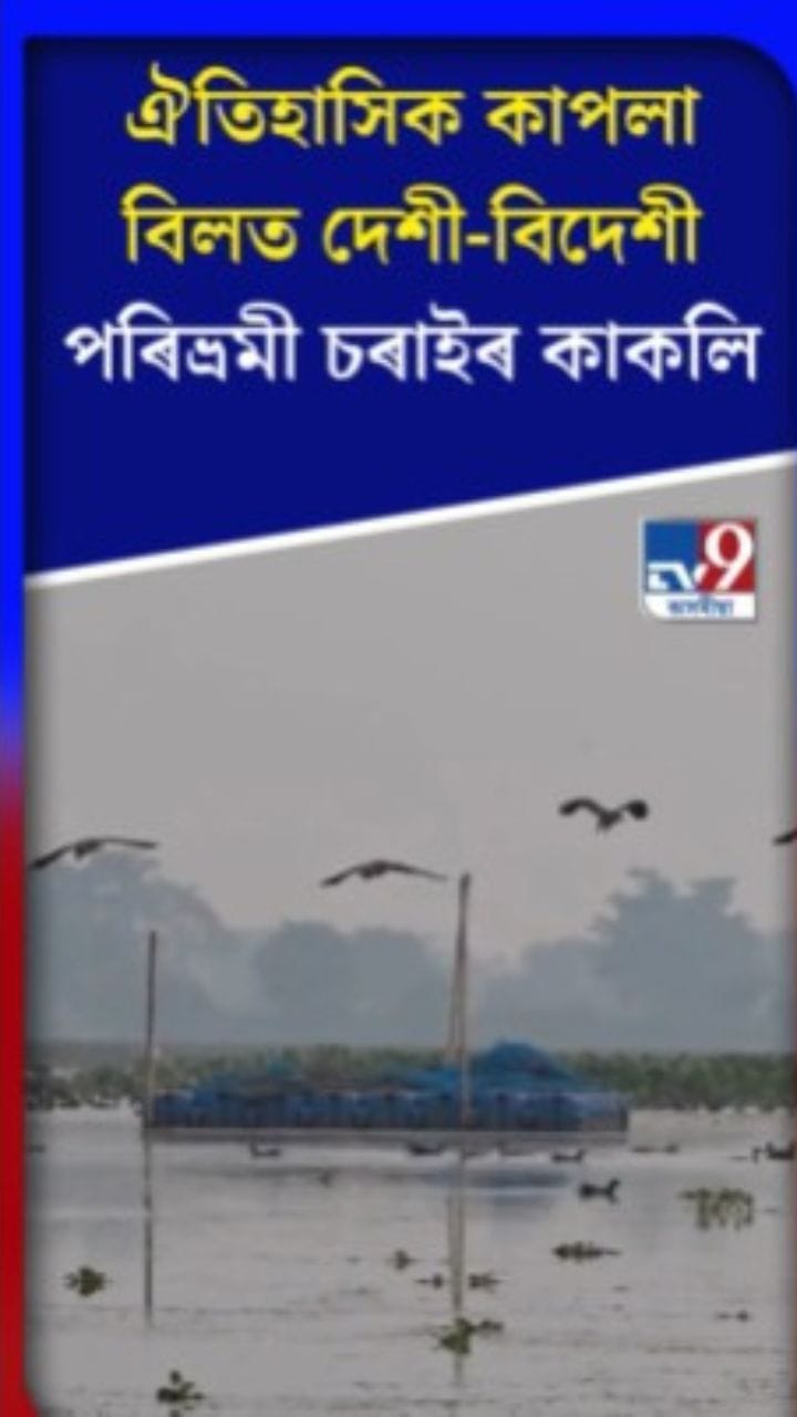 সৰ্থেবাৰীৰ কাপলা বিলত পৰিভ্ৰমী চৰাইৰ কাকলি