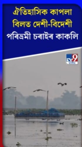 সৰ্থেবাৰীৰ কাপলা বিলত পৰিভ্ৰমী চৰাইৰ কাকলি