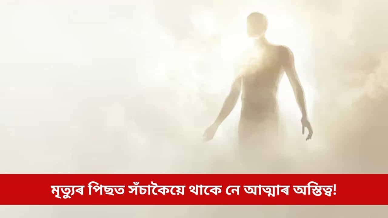 মৃত্যুৰ পিছত সঁচাকৈয়ে থাকে নে আত্মাৰ অস্তিত্ব! কি কৈছে গৱেষণাই?