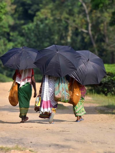 এটি কলি, দুটি পাত আঁচনি কি ? কিমান দিনৰ ভিতৰত পাব এই আৰ্থিক সাহায্য ?