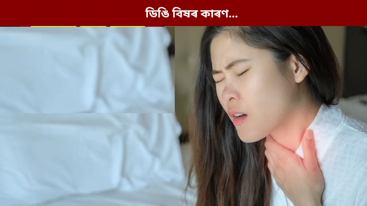 ডিঙিৰ বিষ কিয় হয়? চিকিৎসকৰ পৰা জানক কাৰণ...