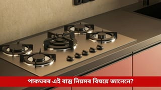 আপোনাৰ ঘৰৰ কোন দিশত আছে গেছ ষ্টোভ? বাস্তু দোষ দূৰ কৰিবলৈ এতিয়াই জানি লওক সঠিক স্থান