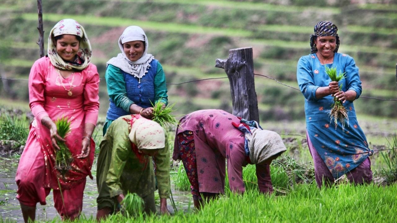 নাৱাৰ্ডৰ (NABARD) শেহতীয়া সমীক্ষা অনুসৰি, ৭৯.২% গ্ৰাম্য পৰিয়ালে বৰ্তমানৰ অৰ্থনৈতিক স্থিতিক লৈ আত্মবিশ্বাস প্ৰকাশ কৰিছে। গ্ৰাম্য পৰিয়ালসমূহৰ মাহিলী উপাৰ্জনৰ ৬৭% খৰচ হয় উপভোগ্য সামগ্ৰীৰ (Consumption) ওপৰত। ইয়াৰ পৰা স্পষ্ট হয় যে গাঁৱৰ বজাৰ এতিয়া যথেষ্ট শক্তিশালী হৈ উঠিছে আৰু গ্ৰাম্য অৰ্থনীতি স্বাৱলম্বী হ’বলৈ আৰম্ভ কৰিছে।