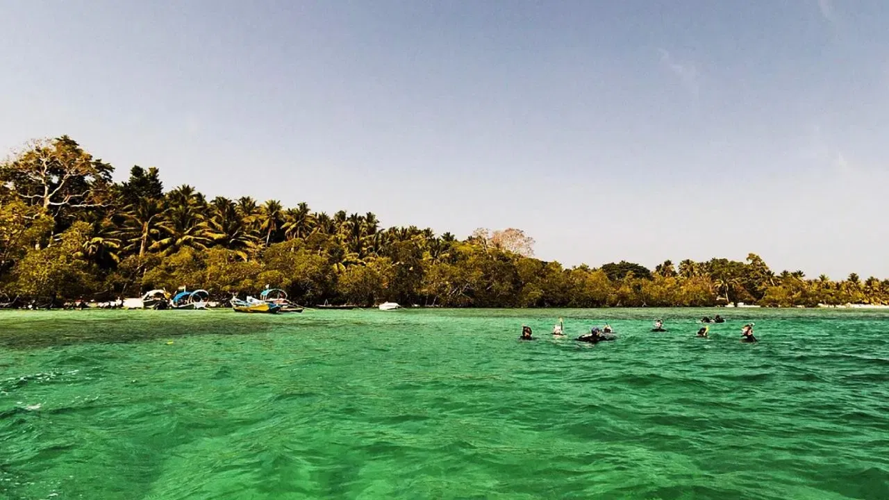 নিকোবাৰ দ্বীপপুঞ্জৰ চৰকাৰী ৱেবছাইট অনুসৰি নিকোবৰে ব্ৰিটিছ সাম্ৰাজ্যৰ অংশ হৈ ভাৰত গণৰাজ্যৰ অবিচ্ছেদ্য অংগ হিচাপে ১৯৪৭ চনৰ ১৫ আগষ্টত স্বাধীনতা লাভ কৰে। স্বাধীনতাৰ লগে লগে চৰকাৰে নিকোবাৰৰ স্বাৰ্থ সুৰক্ষিত কৰাৰ লগতে বাহিৰৰ ব্যৱসায়ীসকলে জনসাধাৰণক শোষণ কৰাত বাধা দিবলৈ আগ্ৰহী হৈ পৰিছিল। সেয়েহে ১৯৫৬ চনত নিকোবাৰ দ্বীপপুঞ্জত প্ৰৱেশৰ ওপৰত কঠোৰ নিষেধাজ্ঞা আৰোপ কৰি আদিবাসী জনজাতি সুৰক্ষাৰ নিয়ম প্ৰণয়ন কৰা হয়। ফটো: Pixabay/Unsplash