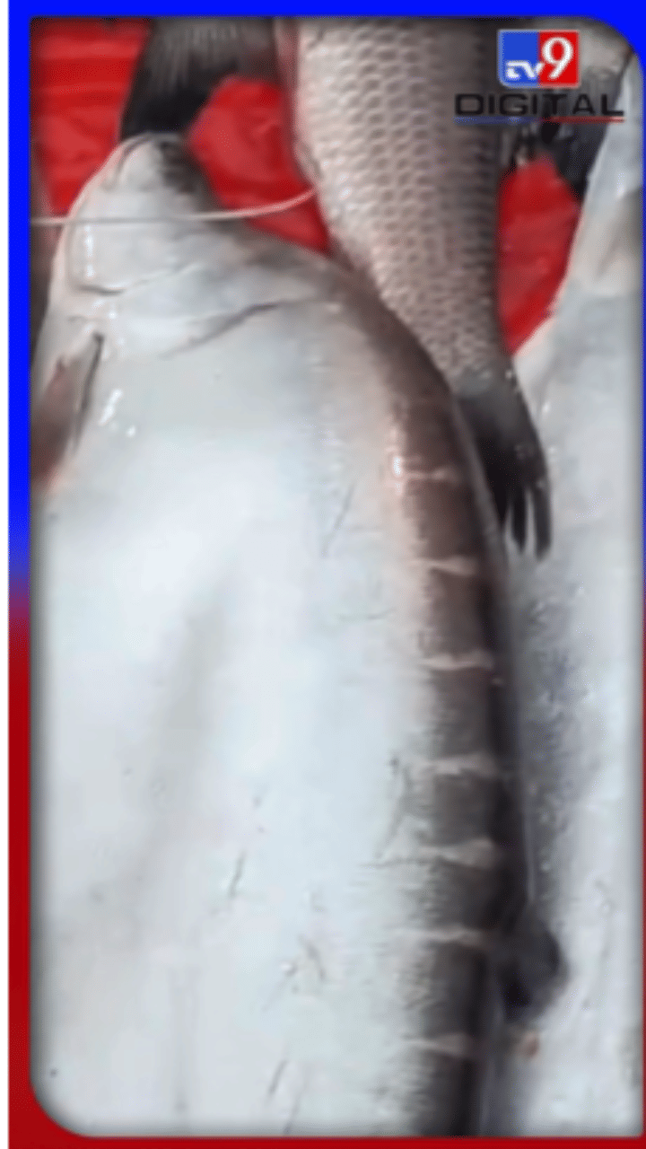 হেঁপাহৰ ভোগালীঃ বজাৰত মাছৰ উজান…