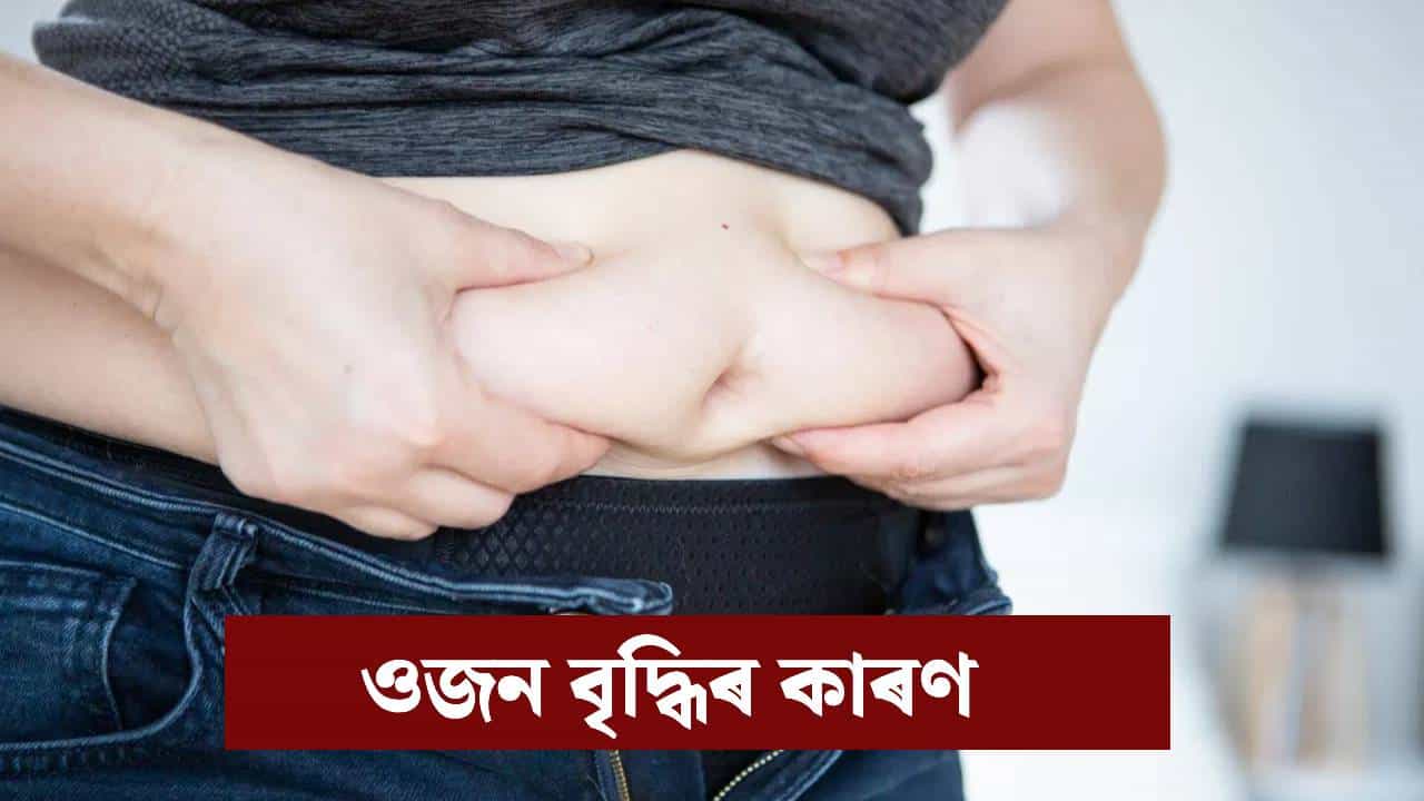 শীতকালত নিজে নিজে বৃদ্ধি হৈছে নেকি শৰীৰৰ ওজন? কিয় জানক... শীতকালত নিজে নিজে বৃদ্ধি হৈছে নেকি শৰীৰৰ ওজন? কিয় জানক...