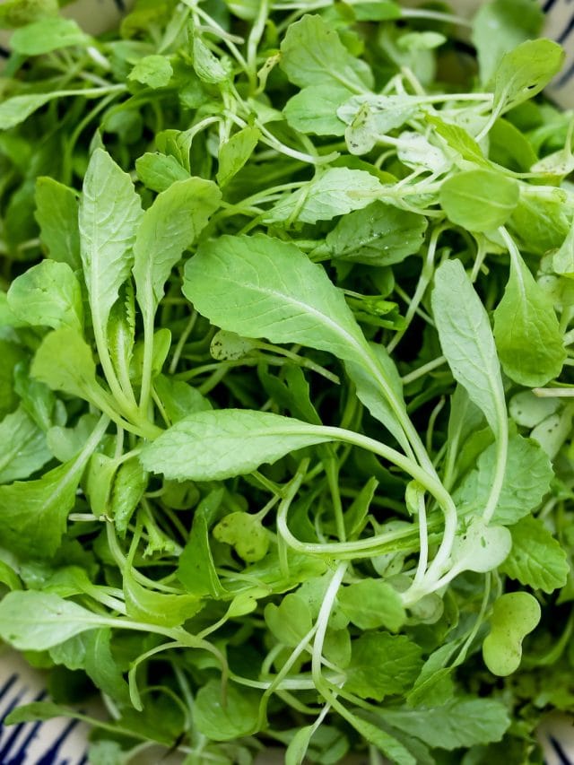 শীতকালত লাই শাক কিয় খাব লাগে ? ইয়াৰ উপকাৰিতা জানক