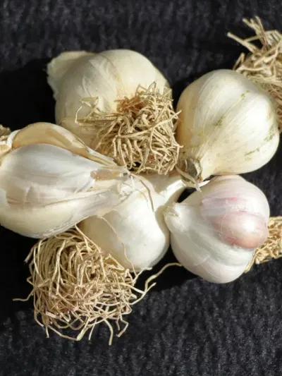 নহৰুৱে দূৰ কৰিব আপোনাৰ সংসাৰৰ সমস্যা! জানি হ’ব আচৰিত