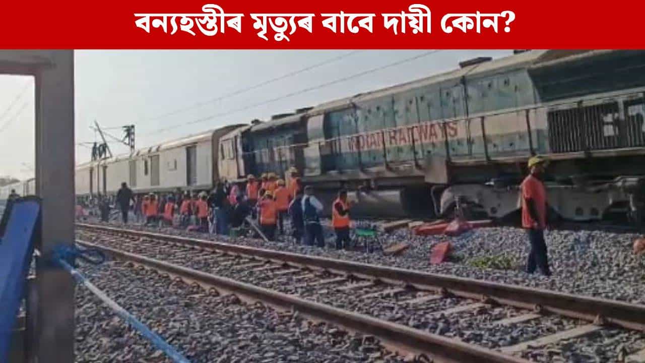 প্ৰসংগ: কামপুৰত ৰেলৰ খুন্দাত বন্য হস্তীৰ মৃত্যু, উত্তৰ বিচাৰিলে ৰাষ্ট্ৰীয় সেউজ ন্যায়াধিকৰণে