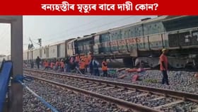 প্ৰসংগ: কামপুৰত ৰে’লৰ খুন্দাত বন্য হস্তীৰ মৃত্যু, উত্তৰ বিচাৰিলে ৰাষ্ট্ৰীয় সেউজ ন্যায়াধিকৰণে...